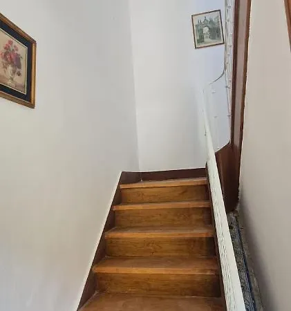 S.soares Grey Beato *